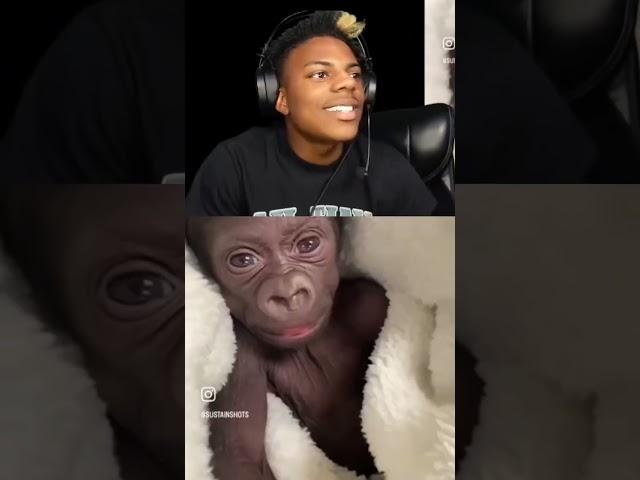Speed reaction to his own glow up #ishowspeed #memes #funnymemes #monkey