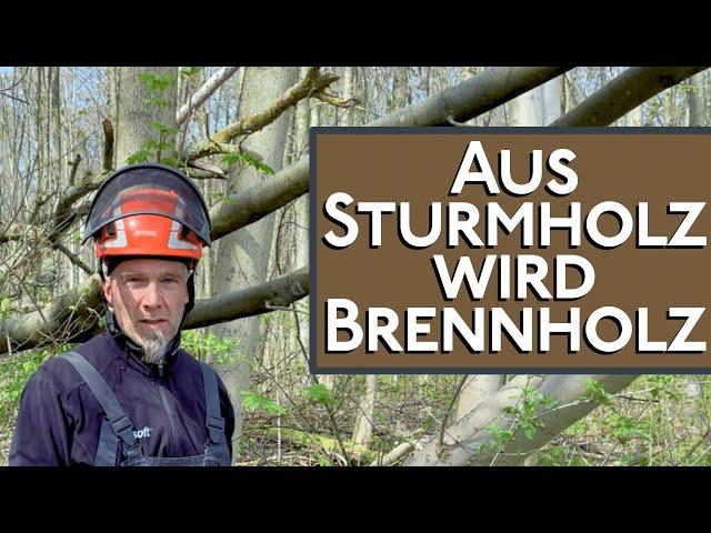 Aus Sturmholz wird Brennholz, WARN Seilwinde am Landrover Defender ist hierfür auch perfekt geeignet