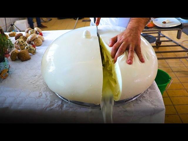 How is Mozzarella Cheese Made in Factories? The Secret Behind Making Mozzarella Cheese!