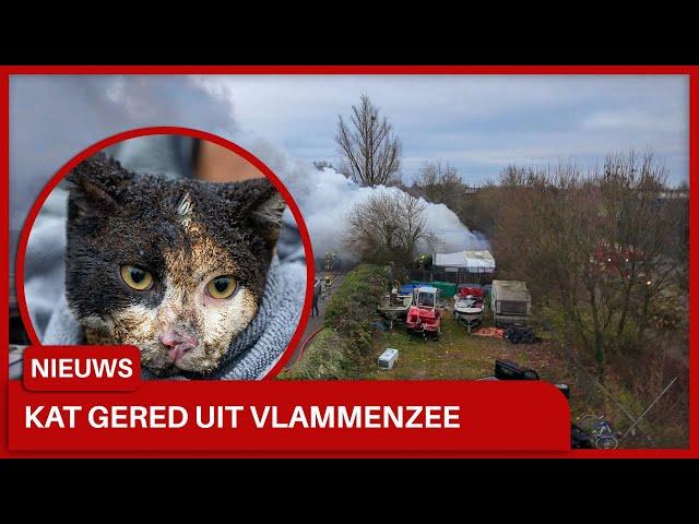 Grote brand op woonwagenkamp in Lobith, kat uit vlammenzee gered