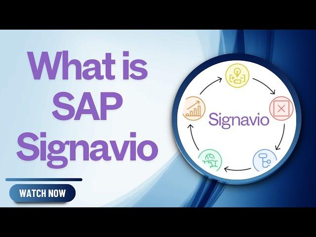 What is SAP Signavio?