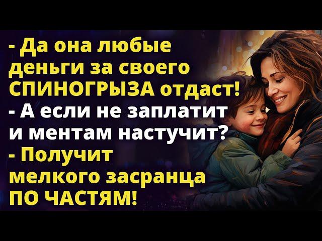 За ребенка она любые деньги отдаст когда узнает, что его похитили. А если не заплатит... Рассказ