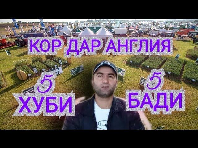 КОР ДАР АНГЛИЯ (5 -ХУБИ ВА БАДИ)