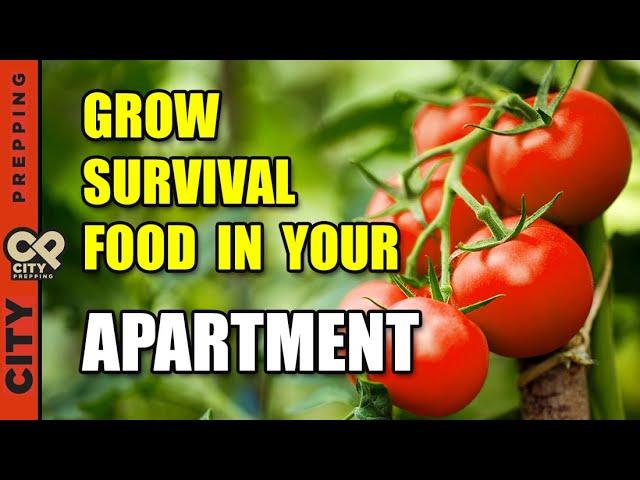 25 Survival Vegetables To Grow In Your Apartment (pt1)