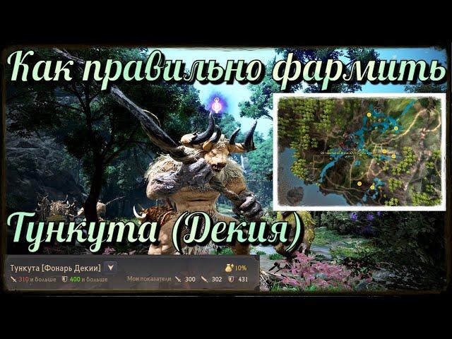 Black Desert / BD: Как правильно фармить спот Тункута (Фонарь Декии)