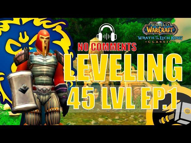 WOTLK Leveling Alliance Guide (Paladin) [45 EP.1] One hour preparation WoW [4K,ASMR]