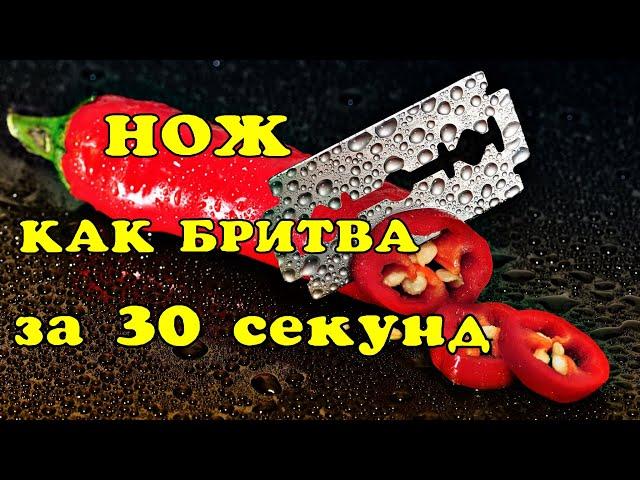 Кухонный Нож будет как бритва за 30 сек!