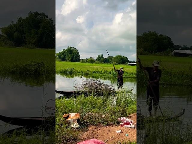 Rural fisherman #shortvideo #shorts #shortsyoutube #shortvideos #short