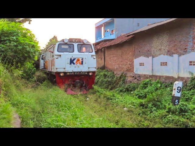 TERABAS POHON‼️ KERETA BLUSUKAN | Indonesian Extream Railway, KERETA BERJALAN DI REL TERTUTUP RUMPUT