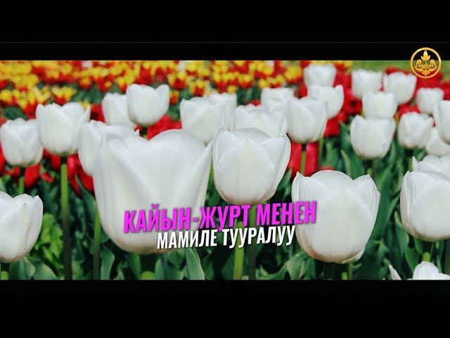 КАЙЫН-ЖУРТ МЕНЕН МАМИЛЕ ТУУРАЛУУ. Шейх Чубак ажы