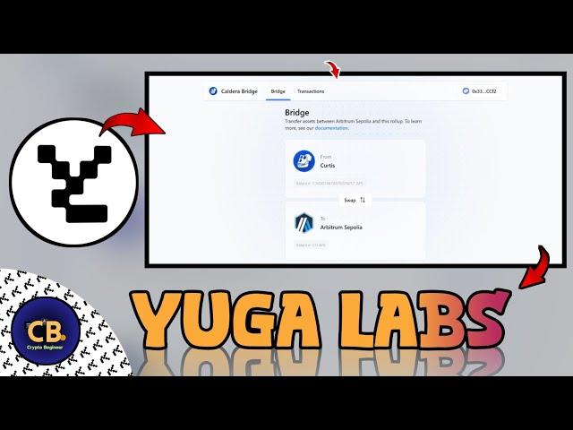 Yuga Labs Testnet | Do Bridge task | Yuga Labs Airdrop |