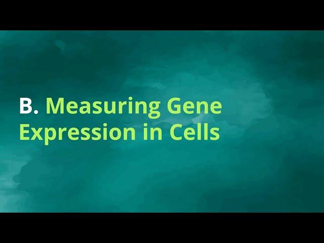 Cancer Immunotherapy DS Challenge - Lecture 2, Part  B - Tech - Measuring Gene Expression in Cells