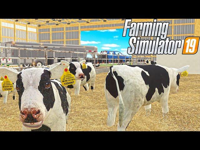 Let There Be Calves! (Mercer, FS19 RP)