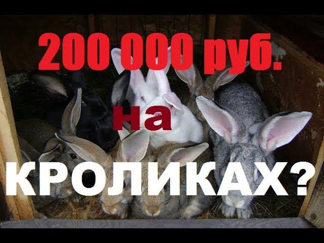 Поднять 200000 рублей на кроликах?!