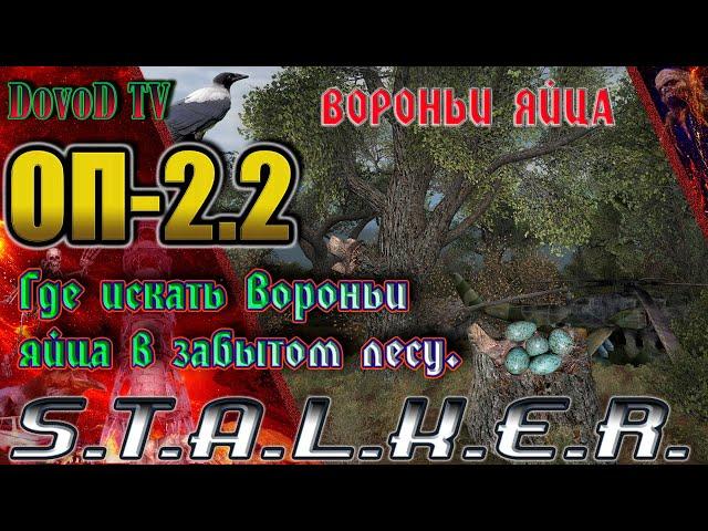 ОП-2.2 S.T.A.L.K.E.R. Где искать Вороньи яйца в забытом лесу.