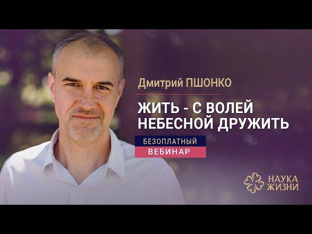 Где найти источники силы и наполнить себя энергией? I Дмитрий Пшонко