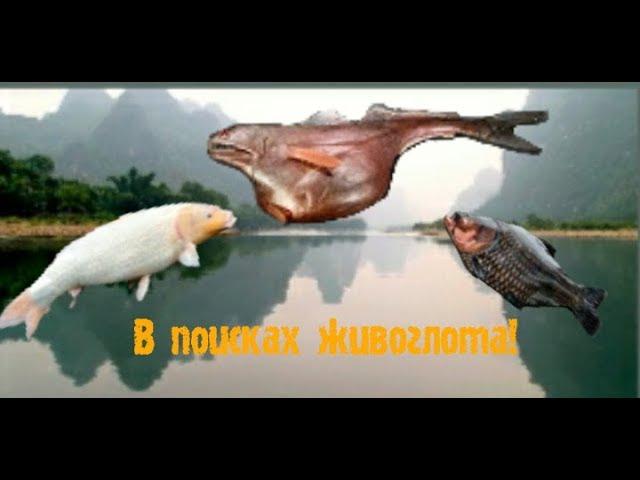 19) My Fishing World в поисках живоглота