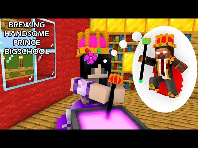 Monster School: BREWING HANDSOME PRINCE (GIRL LOVE BOY) - Minecraft BigSchool Animation