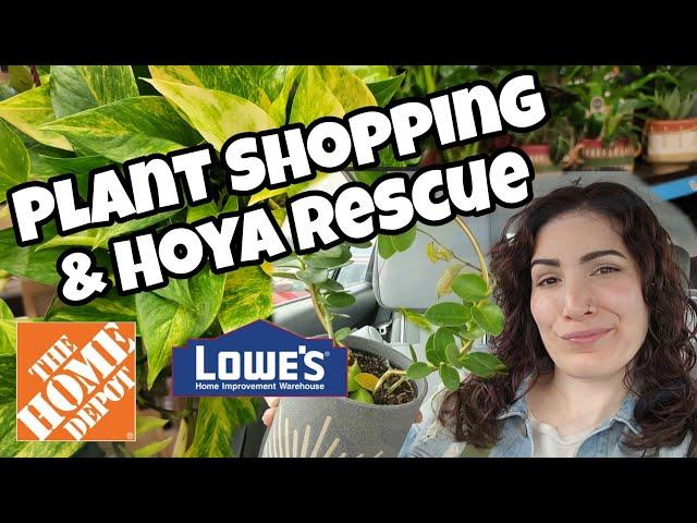 PLANT SHOPPING & HOYA RESCUE!! Home  Depot & Lowe's in Manchester, NH 