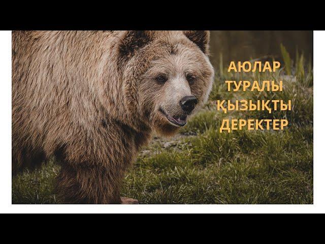 АЮЛАР ТУРАЛЫ ҚЫЗЫҚТЫ ДЕРЕКТЕР