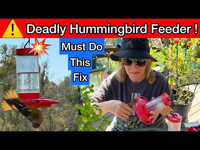 BIG Warning on Hummingbird Feeder  Please Check to if You are Using this Type for Your Hummingbirds