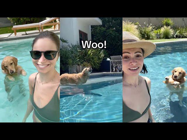 Adria and Oatmeal | Pool Time Compilation