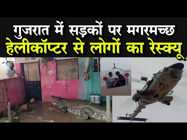 Gujarat Flood Video: गुजरात में सड़कों पर मगरमच्छ, बाढ़ में फंसे लोगों का हेलीकॉप्टर से रेस्क्यू