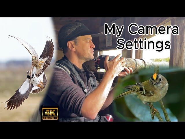 My Bird Photography Camera Settings. Canon R7 & RF 200-800mm lens. 4K