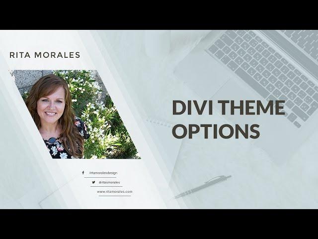 The Divi Theme Options