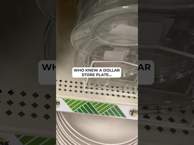The wild ways she turns Dollar Store plates into jaw dropping home decor!