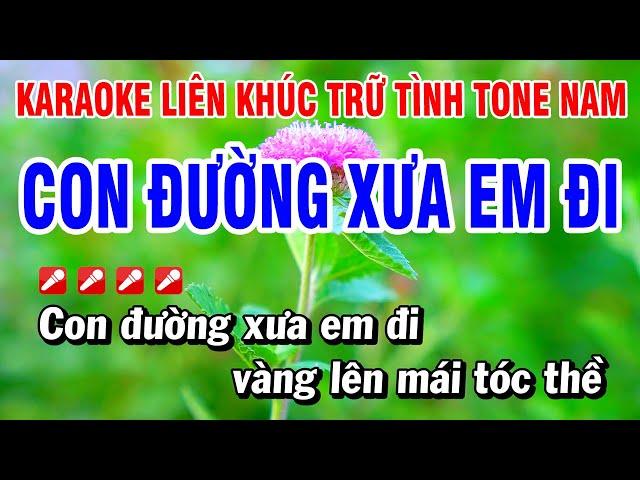 Karaoke Liên Khúc Trữ Tình Tone Nam Nhạc Sống Dễ Hát - Con Đường Xưa Em Đi | Hoài Phong Organ