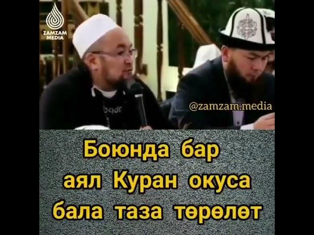 Боюнда бар аял. Шейх Чубак Ажы Жалилов. #чубакажыжалилов