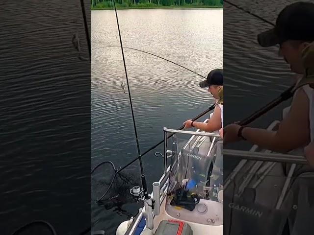 Фрагмент из нового видео https://youtu.be/LZwIF754pfI   #fish #fishing #nature #full