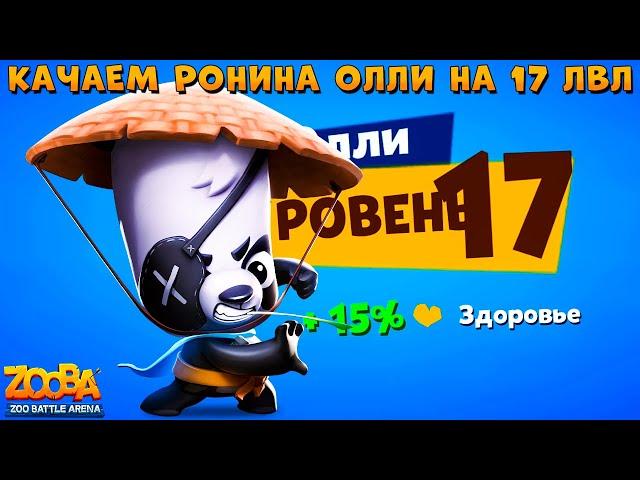 КАЧАЕМ ПАНДУ РОНИНА ОЛЛИ НА 17 УРОВЕНЬ  В ИГРЕ ZOOBA