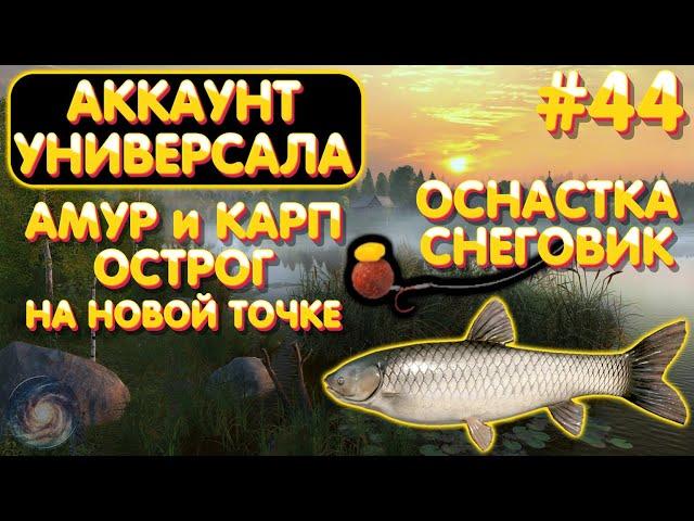 Аккаунт универсала #44 | Оснастка Снеговик на НОВОЙ точке | Амур и Карп | Острог | Русская Рыбалка 4