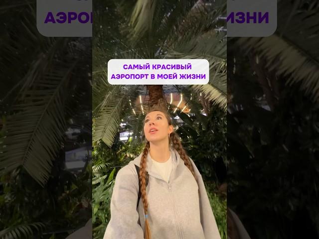 САМЫЙ КРАСИВЫЙ АЭРОПОРТ  #аэропорт #влог #путешествие #красиво #полет #Доха #рекомендации #airport