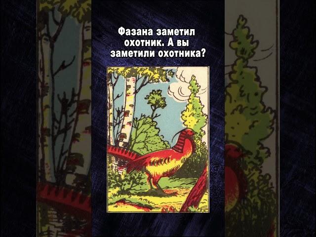 Задача на поиск охотника #задачиналогику #логика #головоломка #внимательность #тестнавнимательность