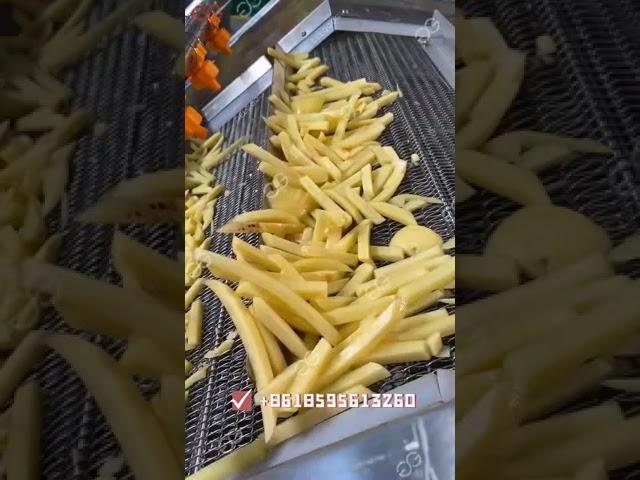 French Fries Production Line Chips Solution