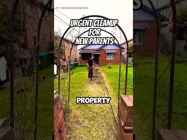 This is What Happens When Your Client Is Expecting a Baby | Satisfying Lawn Transformation 