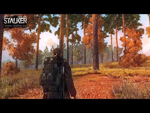 Stalker online умер. StayOut не спасёт. Почему не стоит играть в сталкер онлайн в 2020.