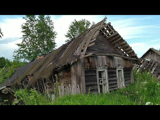 Заброшенные деревни Беларуси | Деревня Новое Палессе