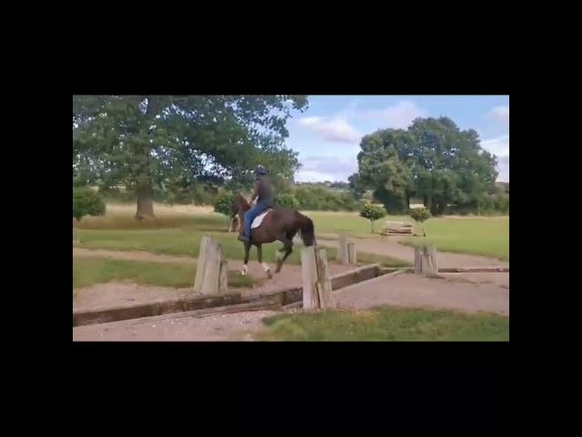 GENUINE LITTLE EVENTER, MOTHER TEEN SHARE/ ALLROUNDER