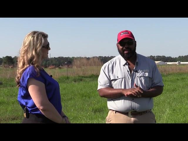 NC Cooperative Extension: Episode 16- Grass Tetany