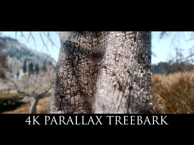 TES V - Skyrim Mods: 4K Parallax Treebark