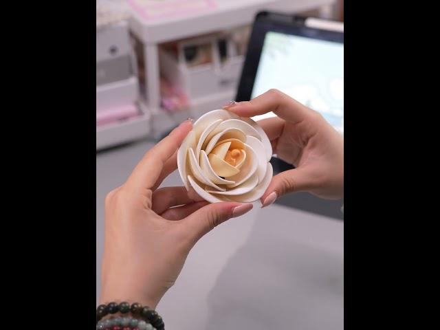 A Silent Presence, A Gentle Strength | ROKR White Camellia 3D Puzzle 