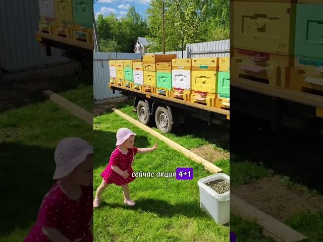 Как выгодно купить ульи #bienenhaus #пасека #ульи #выгода #пчеловодство #мед #пчёлы #акция #ппу #ппс