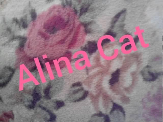 Alina Cat