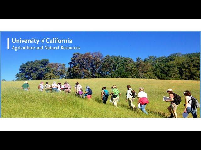 Introduction to the California Naturalist Program by Adina Merenlender