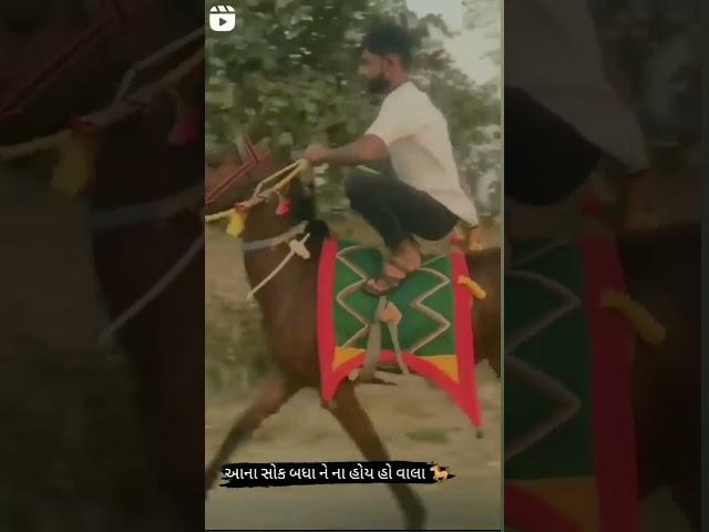 rod ni rani ho #roji horse#jiv️