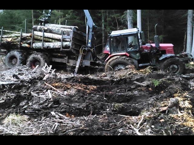 Belarus Mtz 1221.2  with large fully loaded trailer stuck in mud, difficult logging conditions